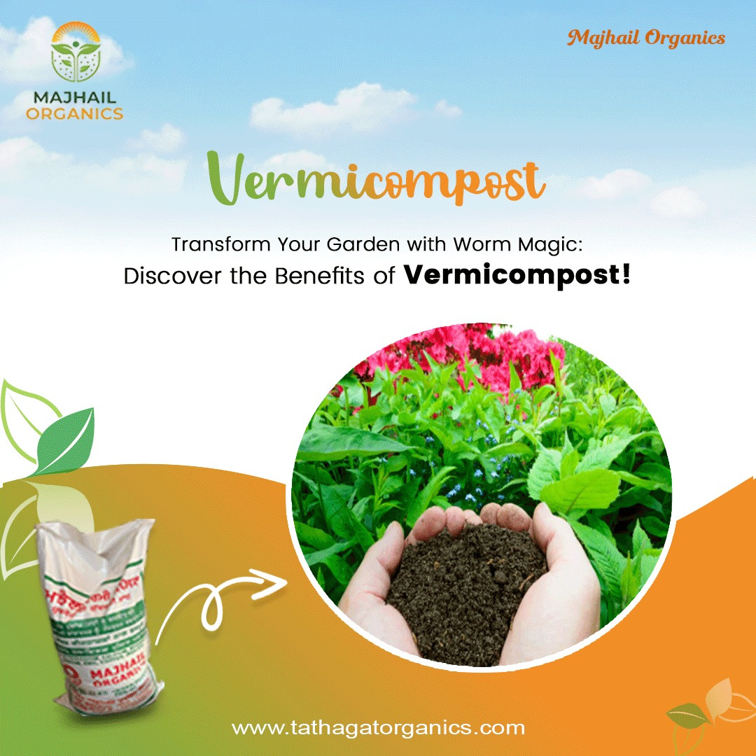 vermicompost business plan in india