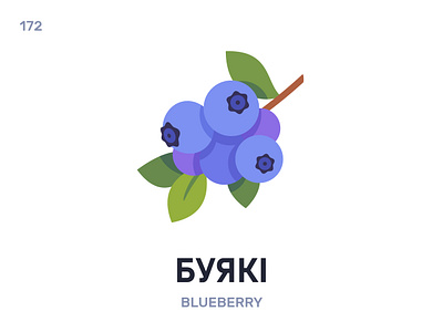 Буякí / Blueberry belarus belarusian language daily flat icon illustration vector