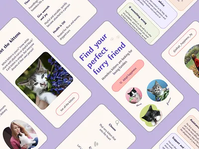 Cat adoption website adoption case cat cute design interface kitten mobile modern pet ui ux web web design website
