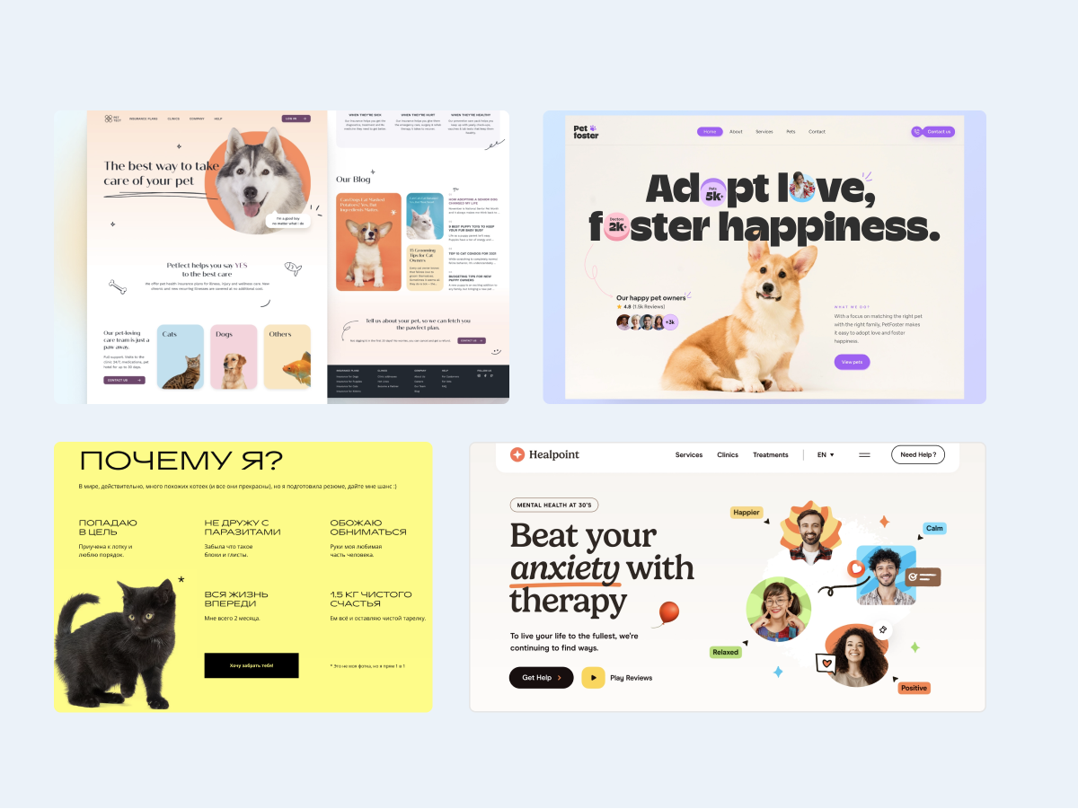 Cat adoption website by Kseniya Bachilo on Dribbble