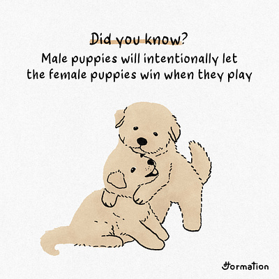 Male puppies will let the female puppies win when they play animal did you know digitalart digitalillustration dog dogs fact of the day fun fact illust illustration pet play procreate puppies puppy