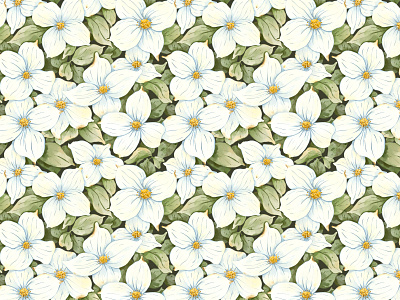 White Flowers (Kousa Dogwood) - watercolor seamless pattern botanical design digital watercolor dogwood fashion floral flower illustration kousa pattern seamless pattern watercolor white flower