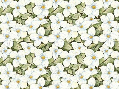 White Flowers (Kousa Dogwood) - watercolor seamless pattern botanical design digital watercolor dogwood fashion floral flower illustration kousa pattern seamless pattern watercolor white flower