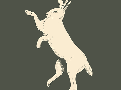 Hare Illustration animal animals branding design drawing hare illustration logo rabbit