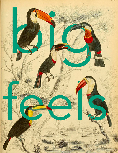 Big Feels design graphic design illustration poster typography