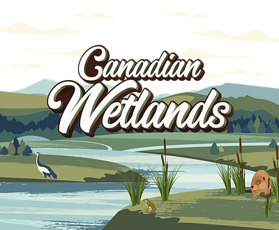 Canadian Wetlands illustration