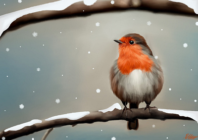 Robin in the snow, digital art birds design digital art drawing graphic design illustration nature procreate robin snow