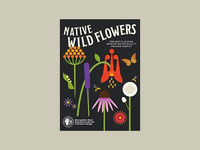 Native Wildflower Seed Packaging illustration packaging