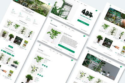 Zingy Plant Store Online Shop Website Design e commerce houseplant onlineshop plant store website design