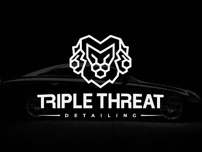 Lionhead Detailing Logo branding lion logo