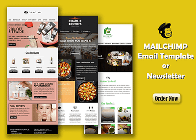 MAILCHIMP Email Template design email graphic design newsletter