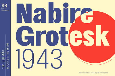 Nabire Grotesk Sans Fonts app book branding design editorial geometric sans graphic design logo progressive. ui