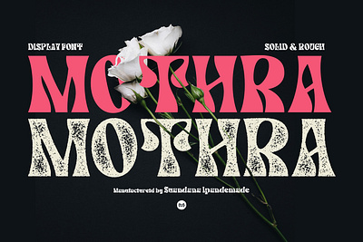 MOTHRA - Display Font display font goodtype opentype retrofont typography uniquefont