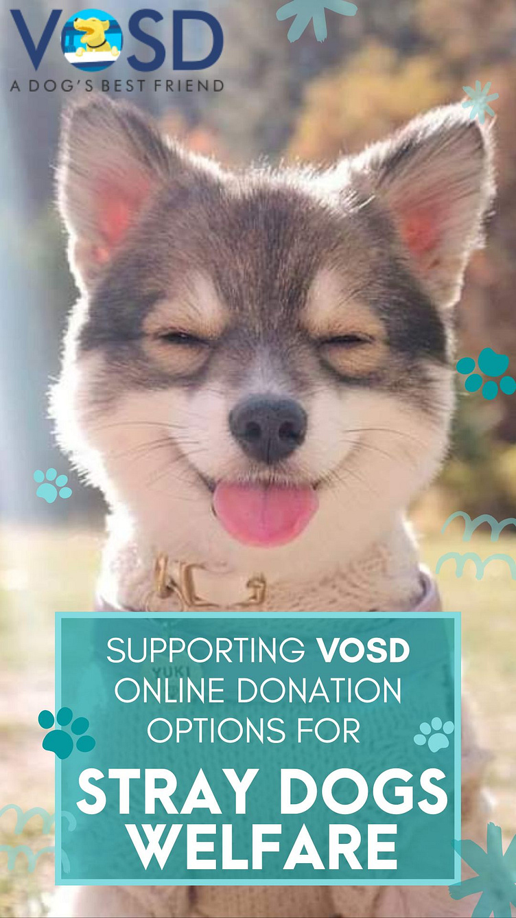 donate-virtually-supporting-vosd-s-cause-for-stray-dog-welfare-by