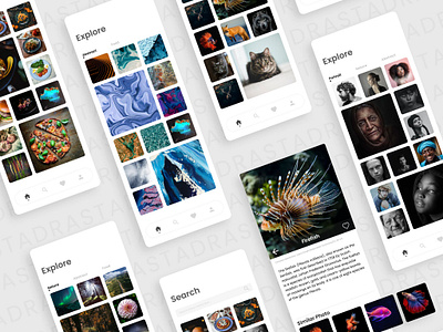 Simple gallery app design mobile ui ux