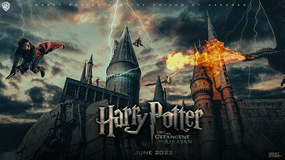 Harry Potter art artwork concept art digital art dragon fantasy magic photoshop