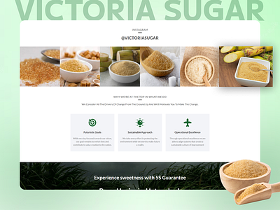 Taste the Nature's Sweetness branding graphic design responsive web ui web design