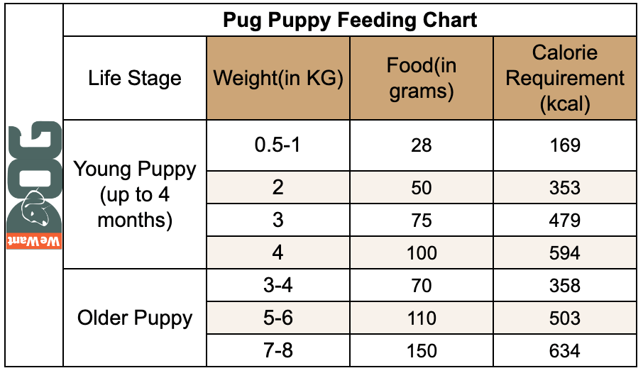 Pug puppy Feeding chart by Clara Lou on Dribbble