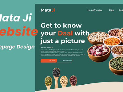 Mata Ji -ML pulse identifying model app branding design illustration logo ui uiux design website ui