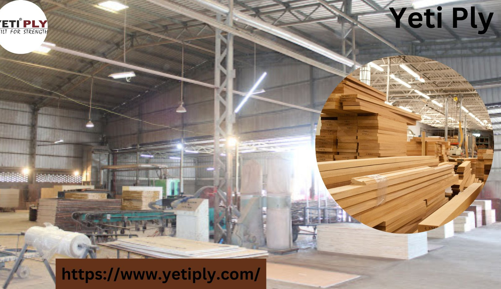 Plywood Manufacturers In India Yeti Ply by YETI PLY on Dribbble