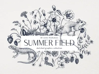 Summer Field Flowers - Vector Sketches animal drawing botanical illustration design elements digital floral art flower hand drawn sketch summer vector wildlife