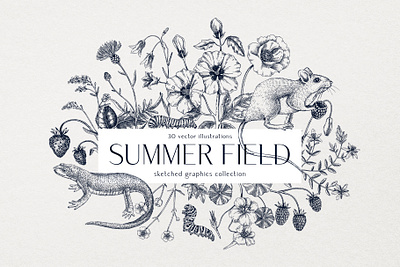 Summer Field Flowers - Vector Sketches animal drawing botanical illustration design elements digital floral art flower hand drawn sketch summer vector wildlife