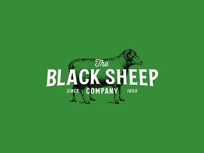 The Black Sheep Company agence agency black branding communication company design graphic graphic design illustration logo rebrand sheep ui vector