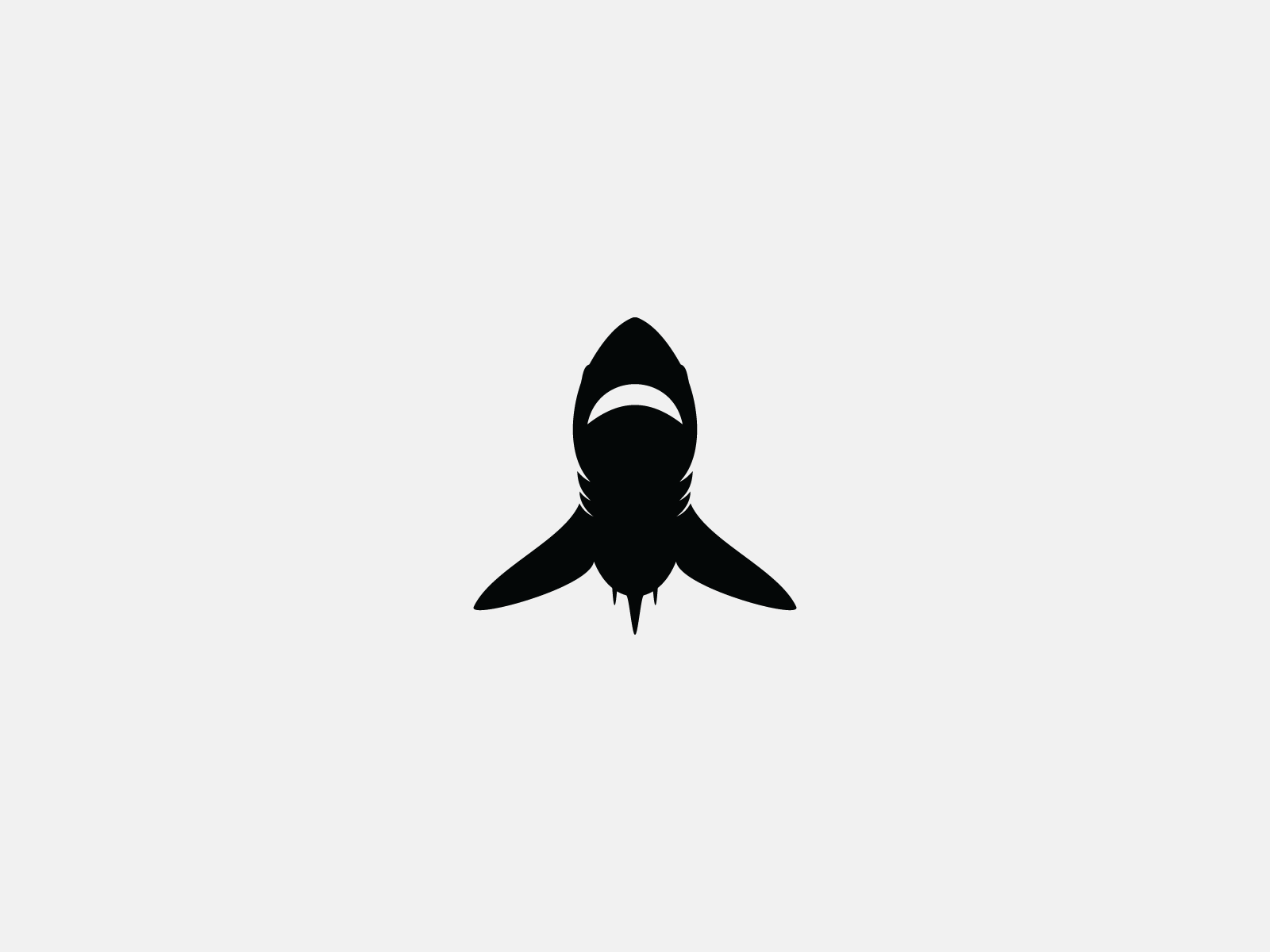 shark by graphitepoint on Dribbble