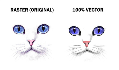 Real Cat Face Vector adobe illustrator cat vector graphic design image into vector manual vector tracing print ready file real cat face design vector tracing
