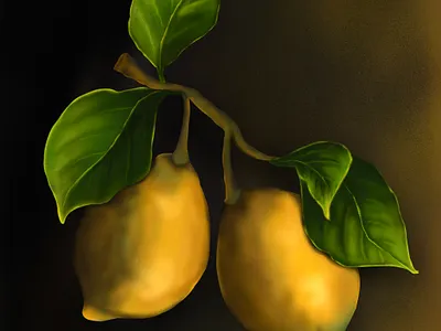 Object Study design fruits illustration illustration object study procreate