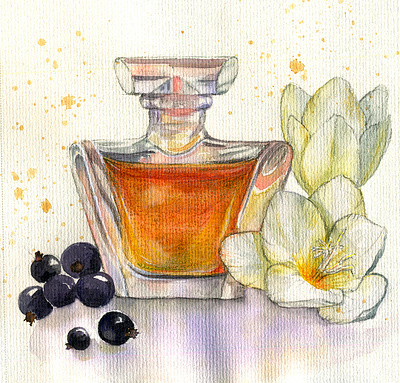 Perfume bottle and flowers commercial illustration flower illustration perfume watercolor