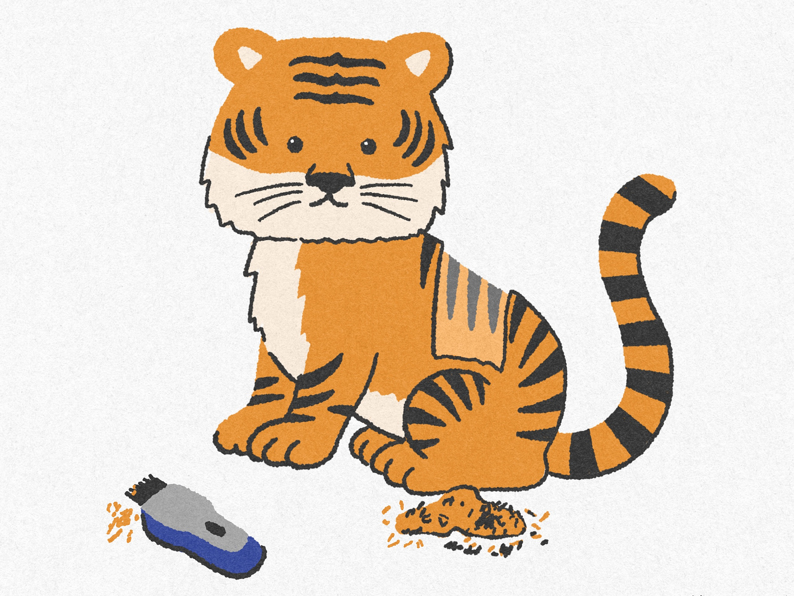 Tigers have striped skin, not just striped fur. by Jormation on Dribbble