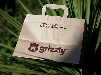 Grizzly - Visual Identity animal bear bee brand identity branding clean design grid grizzly honey logo logodesign minimal organic vector
