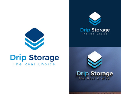 Drip Storage logo branding cold storage graphic design logo ui