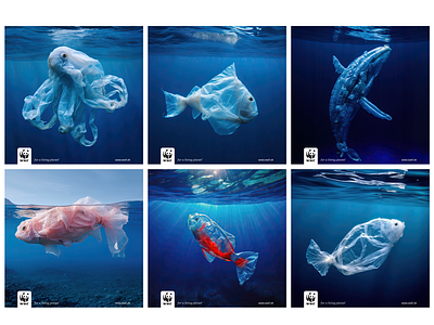 Marine Metamorphosis collection eco ecology graphic design poster