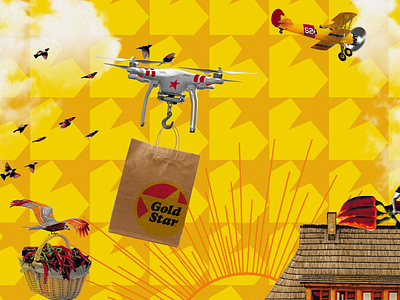 Gold Star - Drone Delivery animation basket birds brand chili collage delivery drone food fun funky gold star chili hand mixed media motion graphics orange order peel star yellow