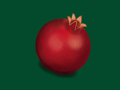 Pomegranate fruit illustration sketchapp