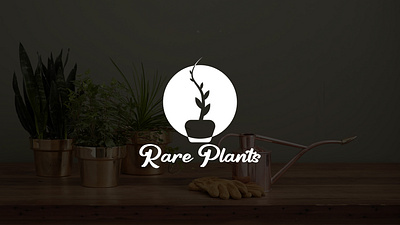 Rare Plants A Nursery Business brand identity brand identity design branding graphic design illustration logo logo design unique brand identity design unique logo design