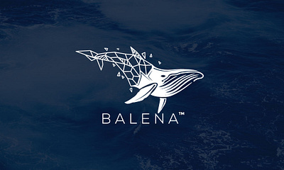 BALENA branding geometric graphic design illustration logo