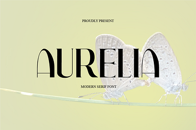 Aurelia Modern Serif Font app brand branding design document type graphic design illustration logo