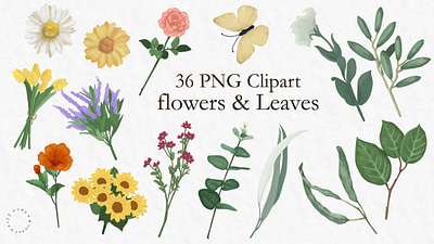 flowers and Leaves clipart collection card digitaldrawing elements illustration
