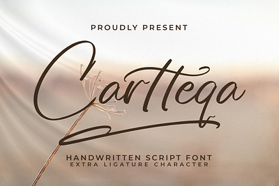 Cartteqa - Handwritten Script Font hand