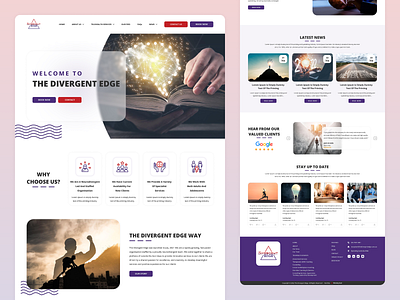 The Divergent Edge Website Design branding coaching color design graphic design illustration institute logo typography ui ux vector website