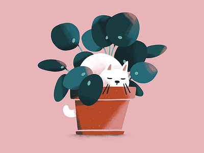 Cat and Pilea cat chinese money plant digital illustration house plants illustration pilea pilea peperomiodios plants potted plant procreate