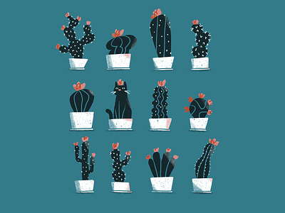 Cat and Cacti cacti cactus cat digital illustration house plants illustration plants potted plants procreate