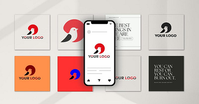 bird logo design 3d bird logo branding design graphic design illustration logo