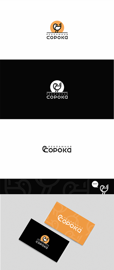 soroka cute design logo news vector