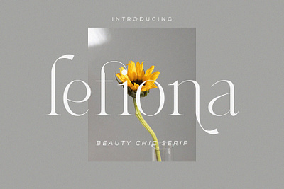 Lefiona - Beauty Chic Serif app branding design graphic design illustration logo typography ui ux vector