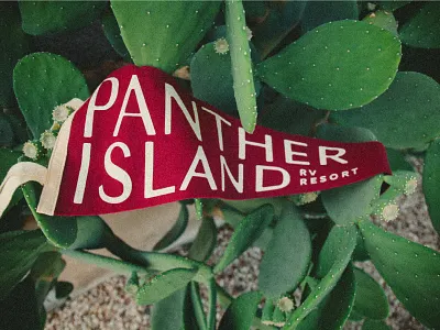 Panther Island RV Resort Branding - Merchandise americana brand branding bumper cactus custom design flag fort worth graphic design illustration logo merchandise pennant resort rv sticker truck typography van
