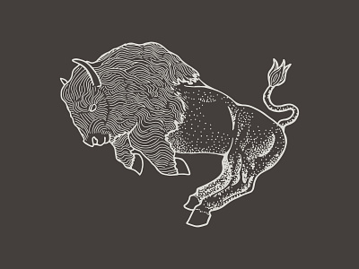 Bison Illustration americana bison brand branding buffalo cow design drawing etching graphic design illustration inking logo mono monoline procreate steer
